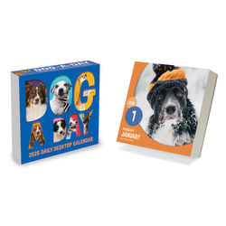 2026 TF Publishing Daily Desktop Box Calendar, 5-1/4" x 5-1/4", Dog A Day, January To December