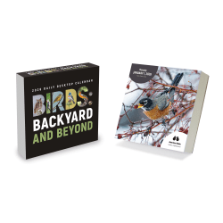 2026 TF Publishing Daily Desktop Box Calendar, 5-1/4" x 5-1/4", Birds: Backyard & Beyond, January To December