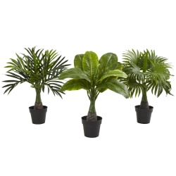 Nearly Natural Areca, Fountain & Banana Palm 16"H Artificial Trees With Pots, 16"H x 15"H x 15"D, Green, Set Of 3