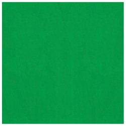 Amscan Gift Tissue Papers, 20" x 20", Green, Pack Of 8 Papers