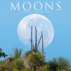 2026 Willow Creek Press Scenic Monthly Wall Calendar, 12" x 12", Moons, January To December, 52013