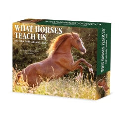 2026 Willow Creek Press Page-A-Day Daily Desk Calendar, 6-1/4" x 5-1/2", What Horses Teach Us, January To December, 54529
