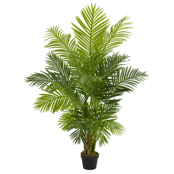 Nearly Natural Hawaii Palm 60"H Artificial Tree With Pot, 60"H x 10"W x 6"D, Green
