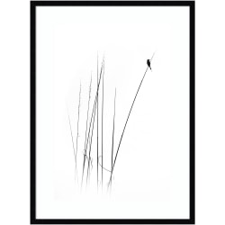 Amanti Art A Sabbatical Bird by Swapnil Wood Framed Wall Art Print, 34"H x 25"W, Black