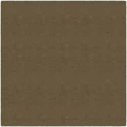 Flagship Carpets Americolors Rug, Square, 12' x 12', Almond
