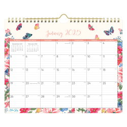 2025 Blue Sky Monthly Wall Calendar, 11" x 8-3/4", Fly By, January 2025 To December 2025