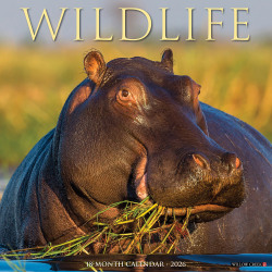 2026 Willow Creek Press Animals Monthly Wall Calendar, 12" x 12", Wildlife, January To December, 53300