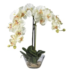 Nearly Natural 18"H Phalaenopsis Silk Flower Arrangement With Glass Vase, White