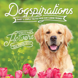 Willow Creek Press 5-1/2" x 5-1/2" Hardcover Gift Book, Dogspirations