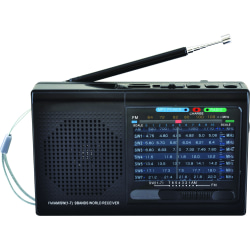 Supersonic 9 Band Bluetooth Radio - Wireless - Portable