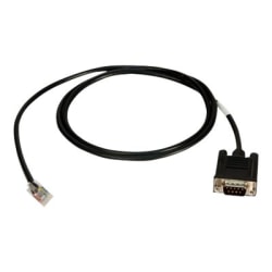 Digi - Serial cable (DTE) - RJ-45 (10 pin) (M) to DB-9 (M) - 4 ft - for PC/4 16450, 16550; AccelePort 4E, 4R, 8e, 8em, 8R; ClassicBoard 4, 8; PC/8 16450, 16550