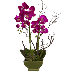 Nearly Natural Orchid & Succulent 21"H Plastic Floral Arrangement With Planter, 21"H x 10"W x 8"D, Dark Pink/Green