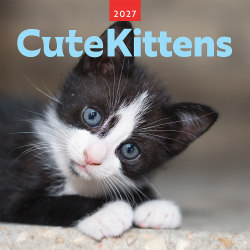 Cute Kittens | 2027 12 x 24 Inch (Hanging) Monthly Square Wall Calendar | Plastic-Free | BrownTrout | Cats Pets Feline