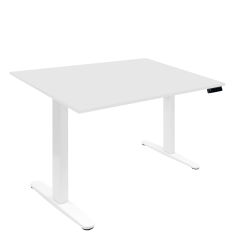 Mount-It! Electric 48"W Adjustable Height Standing Desk, White