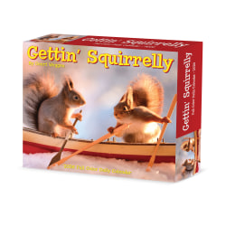 2026 Willow Creek Press Page-A-Day Daily Desk Calendar, 6-1/4" x 5-1/2", Gettin' Squirrelly, January To December, 54185