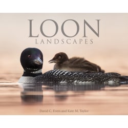Willow Creek Press 8" x 10" Hardcover Gift Book, Loon Landscapes By Evers & Taylor