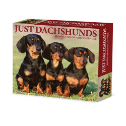 2024 Willow Creek Press Page-A-Day Daily Desk Calendar, 5" x 6", Dachshunds, January To December