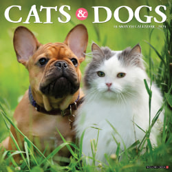 2025 Willow Creek Press Animals Monthly Wall Calendar, 12" x 12", Cats and Dogs, January To December, 42243