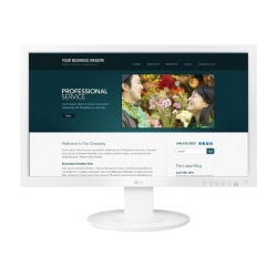 LG 24MB35V-W - LED monitor - 24" (23.8" viewable) - 1920 x 1080 Full HD (1080p) - IPS - 250 cd/m² - 1000:1 - 5 ms - HDMI, DVI-D, VGA