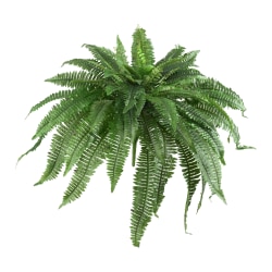 Nearly Natural 21"H Boston Ferns, Green, Set Of 2 Ferns