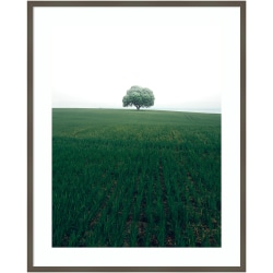 Amanti Art The Lonely Oak Tree by Christian Lindsten Wood Framed Wall Art Print, 33"W x 41"H, Gray