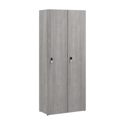 Bush Business Furniture Assure Single Tier 2 Door Storage Locker with Keypad Locks, Platinum Gray, Standard Delivery