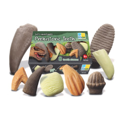 Yellow Door Let's Investigate - Prehistoric Teeth, Set Of 8