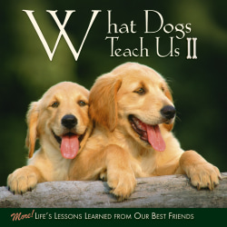 Willow Creek Press 5-1/2" x 5-1/2" Hardcover Gift Book, What Dogs Teach Us 2 By Glenn Dromgoole