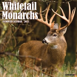2025 Willow Creek Press Monthly Wall Calendar, 12" x 12", Whitetail Monarchs (Deer), January 2025 to December 2025, 45428