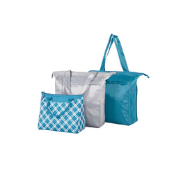 rachael ray insulated bag