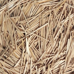 flat wooden toothpicks