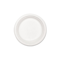 disposable dinner plates