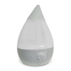 humidifier with mist