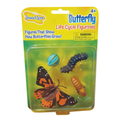 Insect Lore Butterfly Life Cycle Stages Pre K Grade 6 - Office Depot