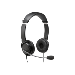mini headphones with mic