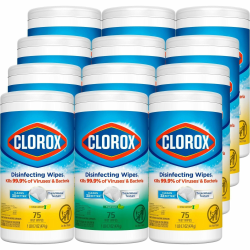 Clorox Disinfecting Wipes Value Pack Bleach Free Cleaning Wipes Wipe 75 Canister 160 Pallet White Office Depot