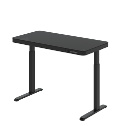 Flexispot EG9 48"W Electric Adjustable Height Standing Desk, Black