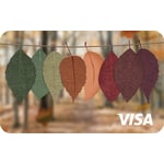 Fall Prepaid Visa 3000