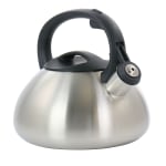 Mr. Coffee 2.1 Quart Whistling Tea Kettle Alberton Emerald Green - Office  Depot