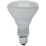 Incandescent Light Bulbs