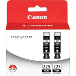 Canon PGI 225 ChromaLife 100 Black Ink Tanks Pack Of 2 4530B007 ...