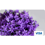 2500 Prepaid Visa Card