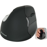 Evoluent Verticalmouse 4 Small Wireless Mouse Optical
