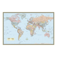 QuickStudy Detailed Topography Map World 50