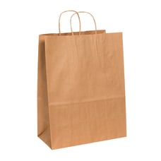 Partners Brand Paper Shopping Bags 17