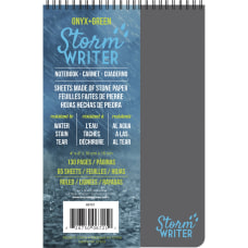 Roaring Spring Storm Writer Notebook Twin