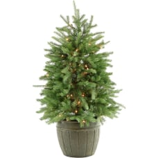 Fraser Potted Pine Tree With Clear