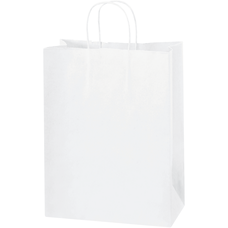 Partners Brand Paper Shopping Bags 10