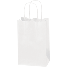 Partners Brand Paper Shopping Bags 5