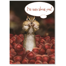 Viabella Love Greeting Card Nuts 5